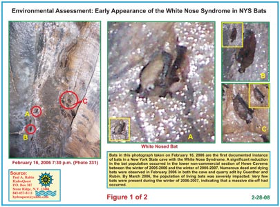 Environmental Impact Statements