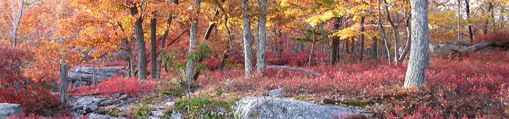 Paul Rubin is an expert consultant in Hydrology, Geology, Hydrogeology, and Karst.